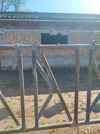 autocatture per bovini 