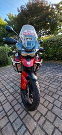 Triumph Tiger 900 GT