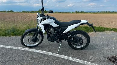 Beta Alp 4.0 2025 dual