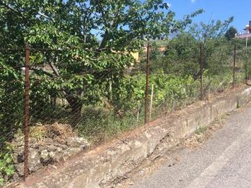 Vigneto e frutteto a trecastagni