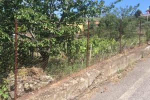 Vigneto e frutteto a trecastagni