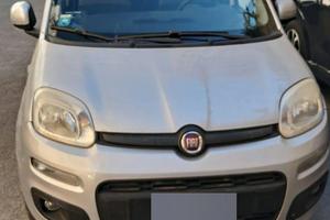 Fiat Panda 1.2 Lounge benzina terza serie 51 Kw