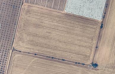 Terreno Agricolo Mar Piccolo