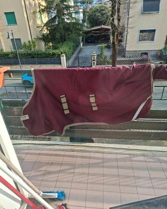 coperta paddock e piumottino