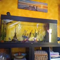 accessori per animali