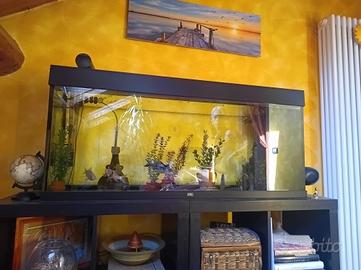 accessori per animali