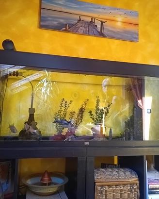 accessori per animali