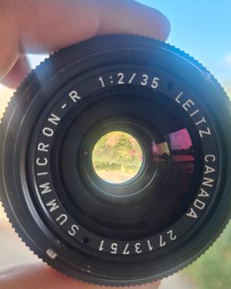 35/ f 2   LEITZ CANADA SUMMICRON - R