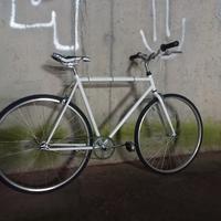Bicicletta single Speed tg. 54