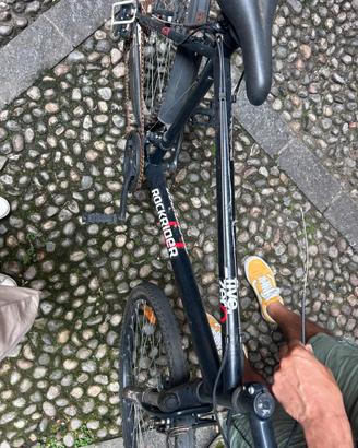 Bici adulto