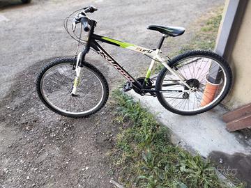 MTB 26 pollici 