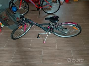 Bicicletta ragazzina raggio 24