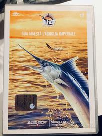 BIG FISH ADVENTURES PESCA