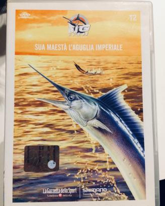 BIG FISH ADVENTURES PESCA