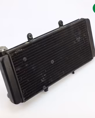 Radiatore acqua APRILIA Caponord 1000