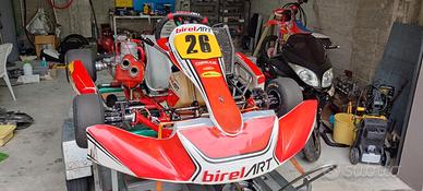 birel art S11