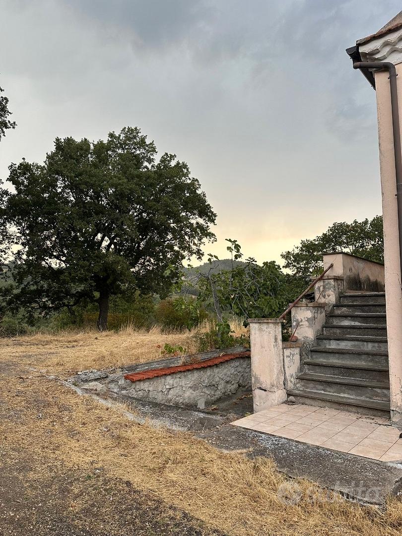 Casolare in pietra con terreno circostante - Vista 4