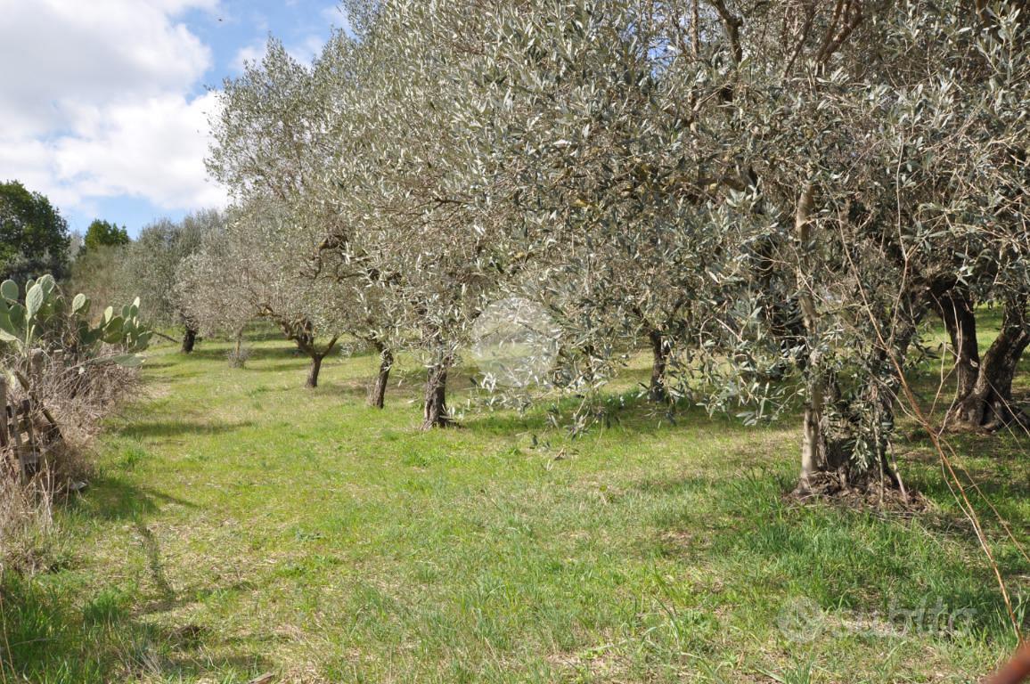 TER. AGRICOLO A ROMA - Vista 3