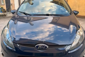 Ford fiesta  gpl
