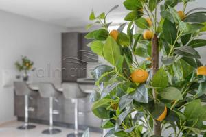 Casa vacanza nuova e di lusso a torre pali a 150 m