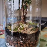 Ecosystem terrarium