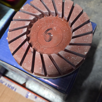 Levigatrice granito per mono spazzola