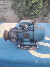 Motoriduttore 220 v.