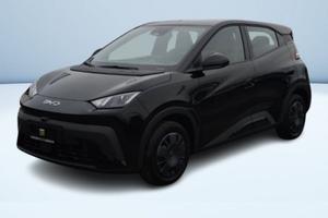 BYD Dolphin Surf Active