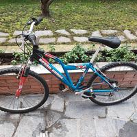 Bicicletta per ragazzo