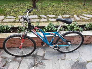 Bicicletta per ragazzo