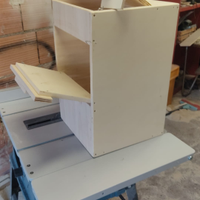 Parocchetti inseparabili calopsite kakariki