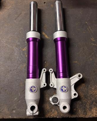 Forcelle f12 viola