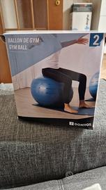 pallone da ginnastica 