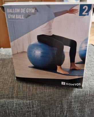 pallone da ginnastica 