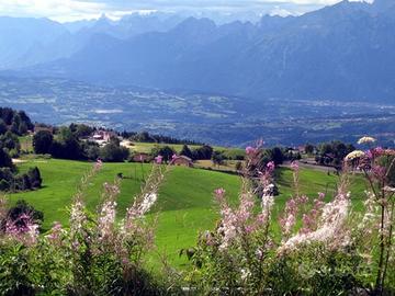 Baita S.Anna di Tambre d'Alpago
