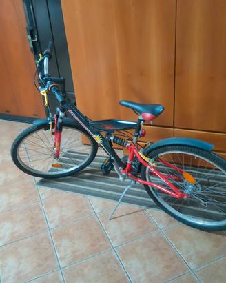 Bicicletta Mountain bike 