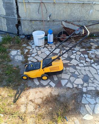 taglia erba elettrico