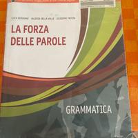 Libro grammatica biennio liceo 9788869105210