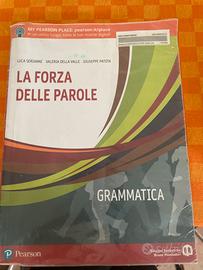 Libro grammatica biennio liceo 9788869105210