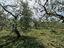 Immagine 26
