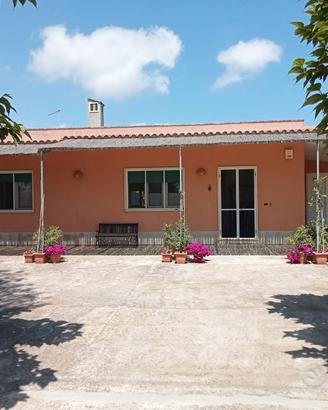 Meraviglioso salento
