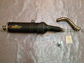 Scarico Akrapovic Honda Hornet 600 2003/2006