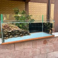 Acquario Tartarughe Rettili