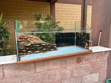 Acquario Tartarughe Rettili