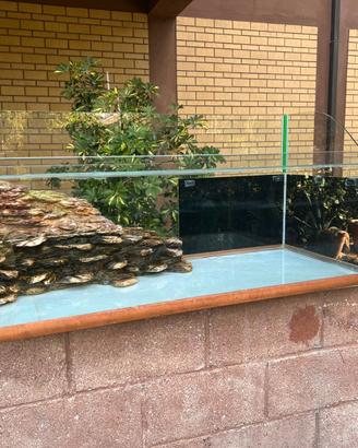 Acquario Tartarughe Rettili