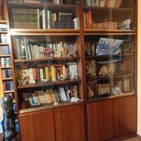 Due Librerie