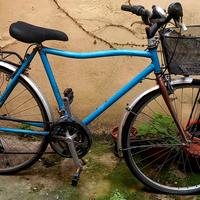 Bici da uomo