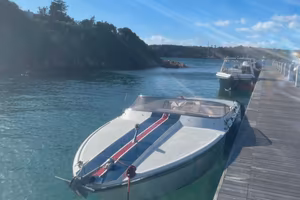 MONTECARLO OFFSHORER 30 Riva