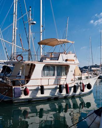 Barca a motore trawler