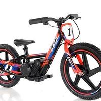 BICI ELETTRICA SEDNA 170W LITIO 5,2AH R16